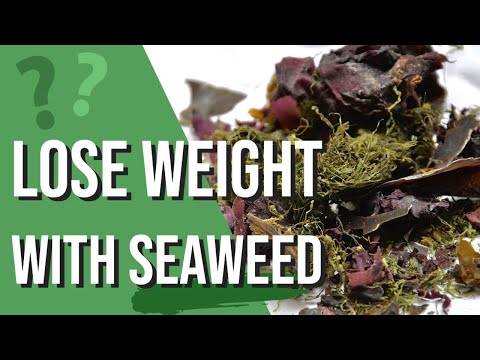 How to lose weight FAST with Seaweed