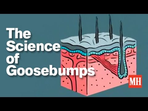 The Science of Goosebumps