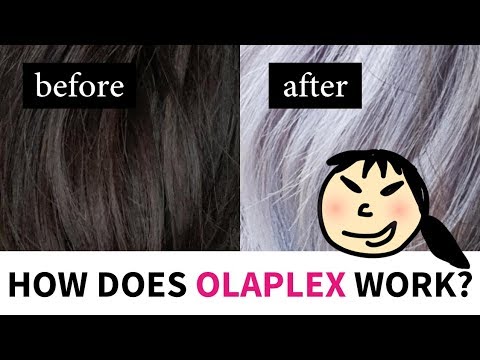 How Does Olaplex Work? Lab Muffin Beauty Science