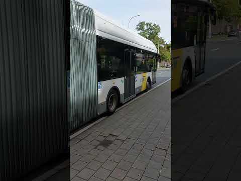 De Lijn VDL Hybride (2805) Bus 410 Sint Antonius via Wijnegem 16/10/2023