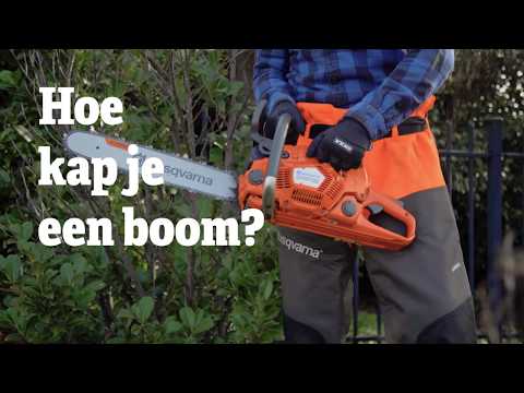 Boom Kappen - Hoe kap je een boom? | RentSetGo