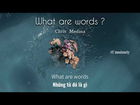 [Vietsub+Lyrics] What Are Words - Chris Medina