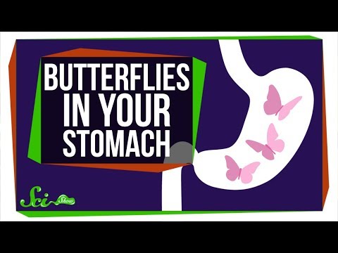 Why Do You Feel Butterflies in Your Stomach?