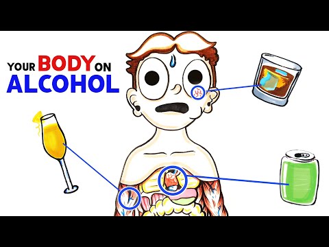 How Alcohol Changes Your Body